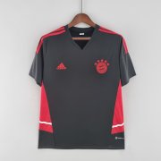 Tailandia Camiseta Bayern Munich Rojo Gris 2022/2023